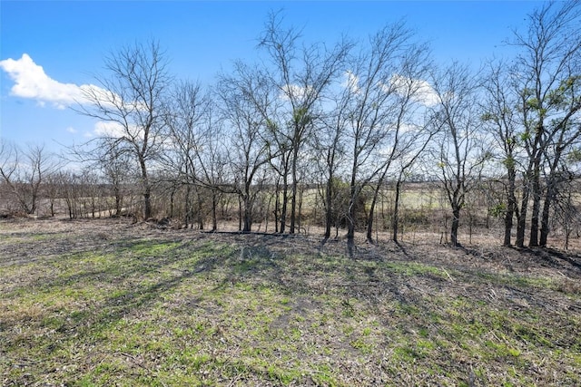 2558 E Fm 487, Jarrell, TX 76537 - photo 21