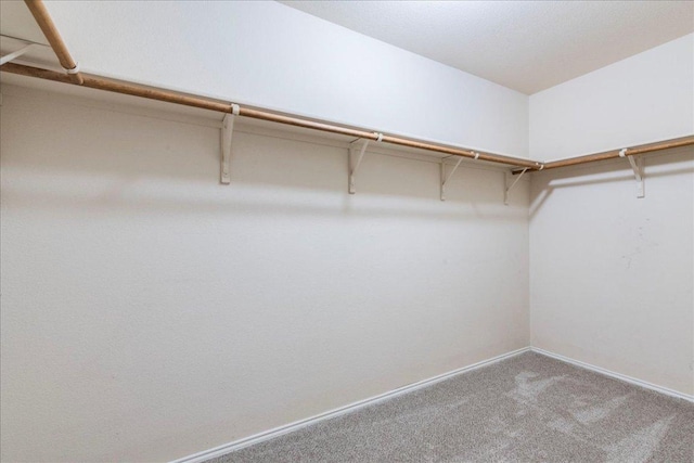 12900 Noche Clara Dr, Del Valle, TX 78617 - walk in closet with carpet floors
