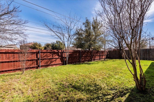 12900 Noche Clara Dr, Del Valle, TX 78617 - view of yard