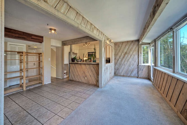 614 Sunfish St, Lakeway, TX 78734 - unfurnished sunroom featuring wooden walls and tile patterned floors