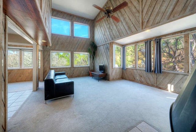 614 Sunfish St, Lakeway, TX 78734 - sunroom / solarium with high vaulted ceiling, wooden walls, and carpet