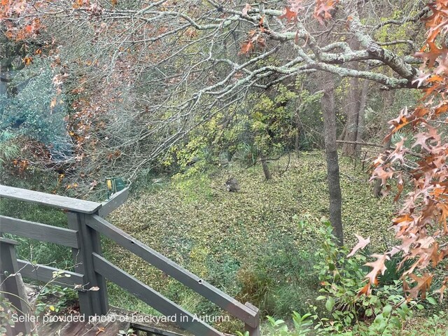 614 Sunfish St, Lakeway, TX 78734 - view of local wilderness