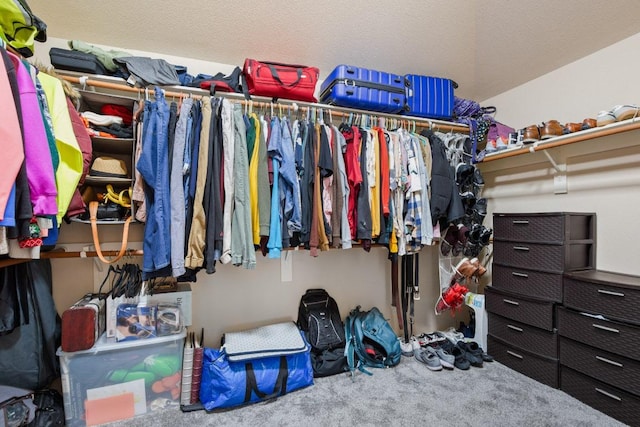 spacious closet featuring carpet flooring