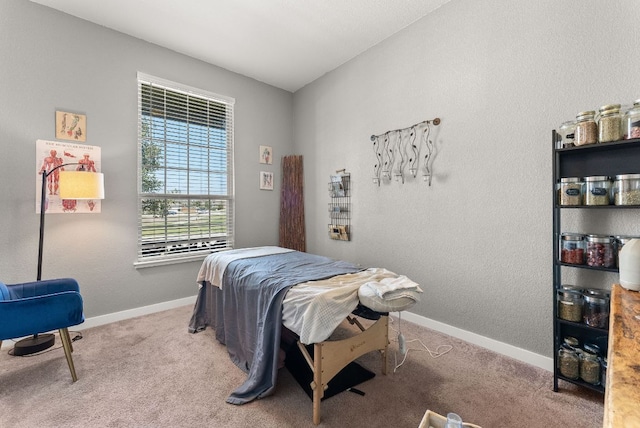 386 Nautical Loop, Kyle, TX 78640 - carpeted bedroom with baseboards