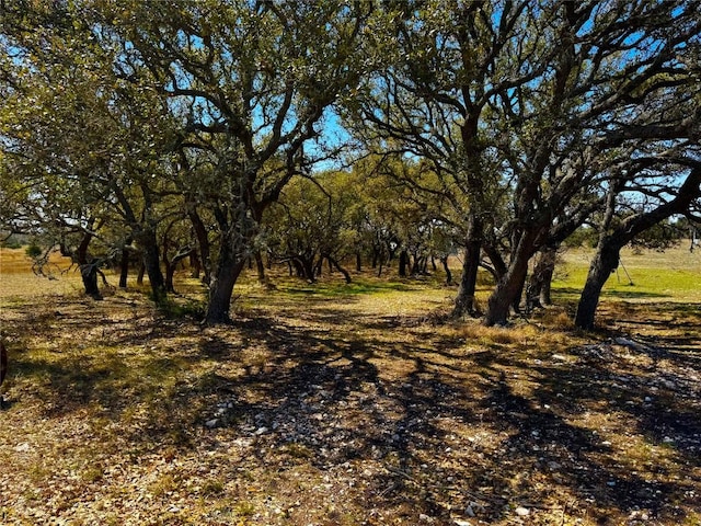 871 Blackbuck Ridge Dr, Lampasas, TX 76550 - view of landscape