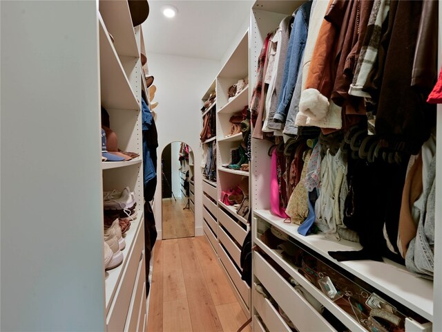 871 Blackbuck Ridge Dr, Lampasas, TX 76550 - walk in closet featuring light wood finished floors