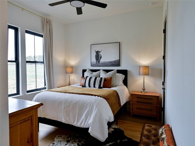 871 Blackbuck Ridge Dr, Lampasas, TX 76550 - bedroom featuring ceiling fan and dark wood-style flooring