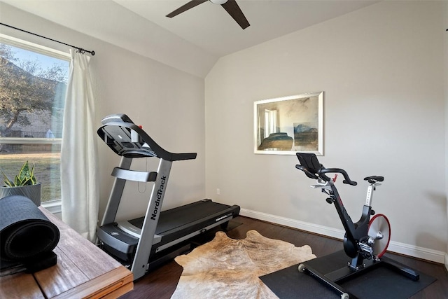 9525 Stratus Dr, Dripping Springs, TX 78620 - exercise room with ceiling fan, wood finished floors, baseboards, and lofted ceiling