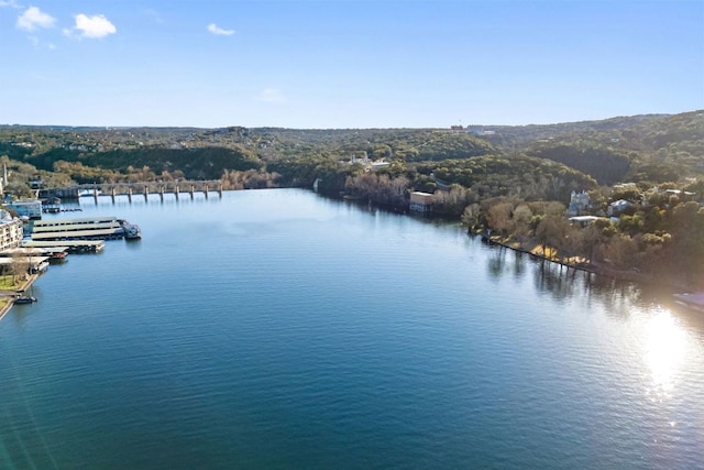 3506 Clearview Dr, Austin, TX 78703 - drone / aerial view of a nearby body of water