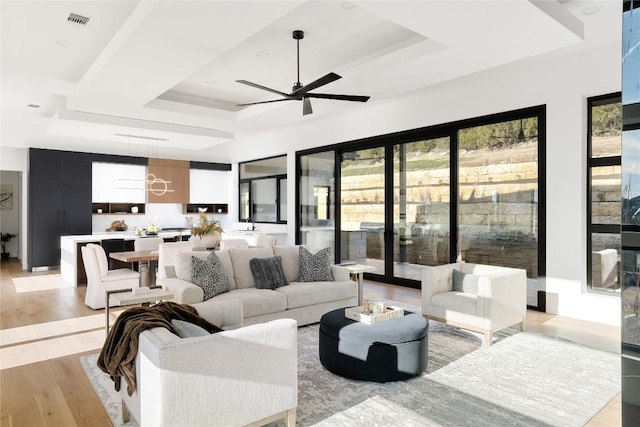 106 Bella Montagna Cir, Austin, TX 78734 - living area with a raised ceiling, light wood finished floors, and a ceiling fan
