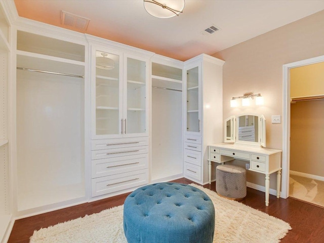 2829 Homecoming, Leander, TX 78641 - walk in closet with dark wood finished floors