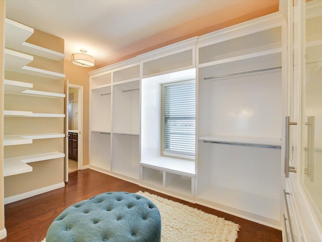 2829 Homecoming, Leander, TX 78641 - spacious closet with dark wood-style floors