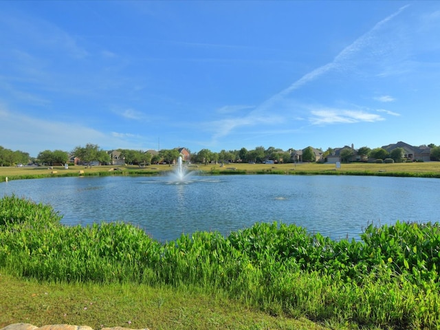 2829 Homecoming, Leander, TX 78641 - water view