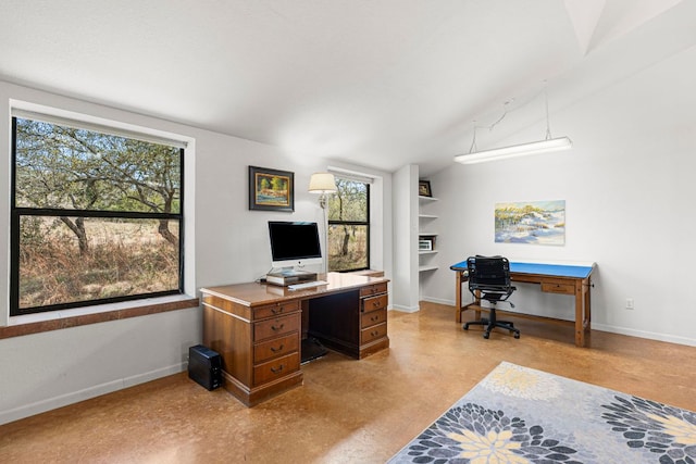 501 Hays Country Acres Rd, Dripping Springs, TX 78620 - office space featuring baseboards, plenty of natural light, and vaulted ceiling