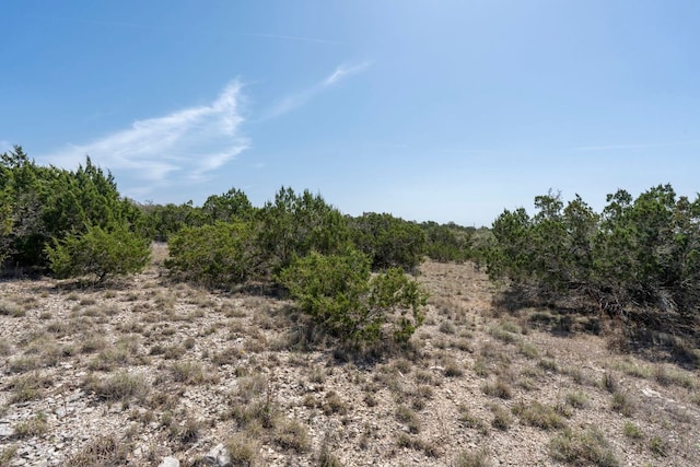 501 Hays Country Acres Rd, Dripping Springs, TX 78620 - view of local wilderness