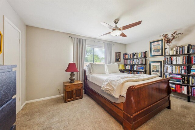 2402 Stevens Cv, Austin, TX 78723 - photo 20