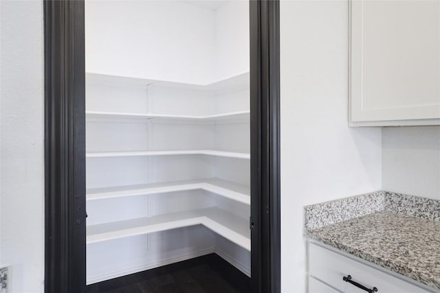 12024 Roving Pass, Elgin, TX 78621 - view of pantry
