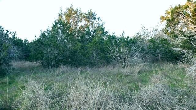 1141 Settlers Rd, San Marcos, TX 78666 - photo 6