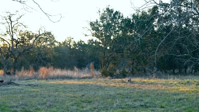 1141 Settlers Rd, San Marcos, TX 78666 - photo 3