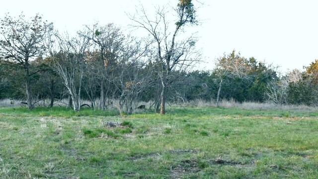 1141 Settlers Rd, San Marcos, TX 78666 - photo 4