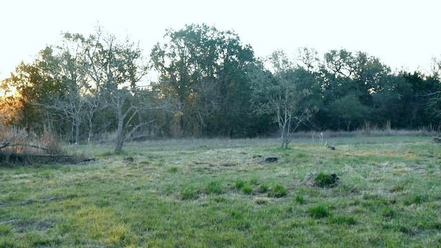 1141 Settlers Rd, San Marcos, TX 78666 - photo 5