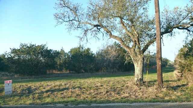 1141 Settlers Rd, San Marcos, TX 78666 - photo 15