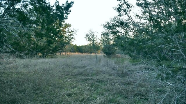 1141 Settlers Rd, San Marcos, TX 78666 - photo 9