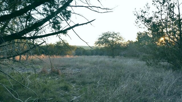 1141 Settlers Rd, San Marcos, TX 78666 - photo 10