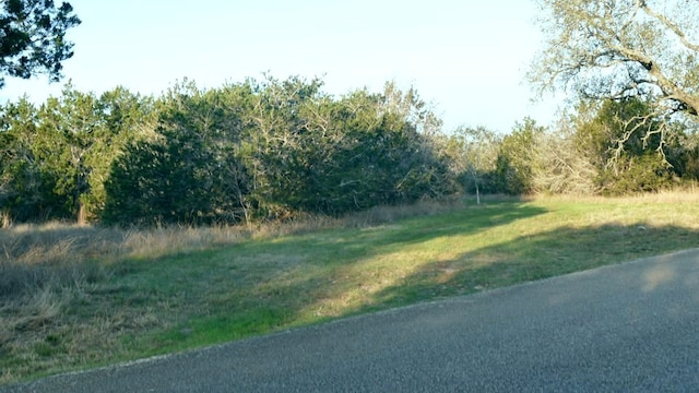 1141 Settlers Rd, San Marcos, TX 78666 - photo 14