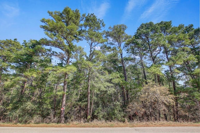 TBD2 Kaanapali Ln, Bastrop, TX 78602