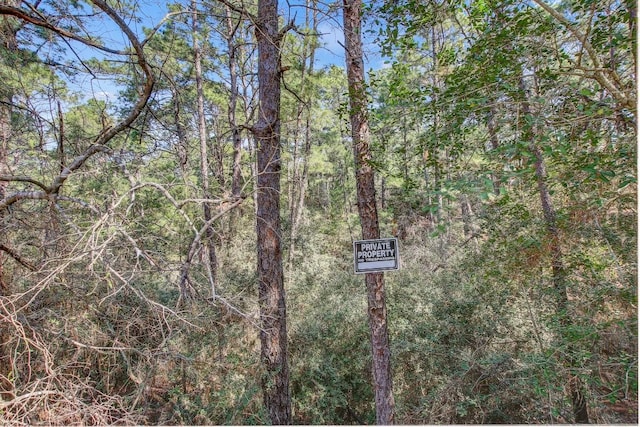 TBD2 Kaanapali Ln, Bastrop, TX 78602
