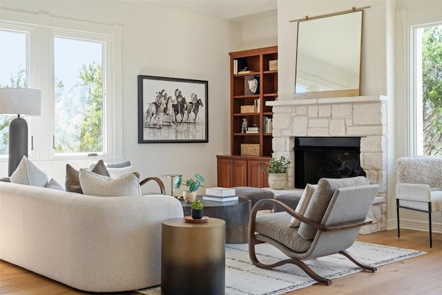 living area featuring wood finished floors and a fireplace
