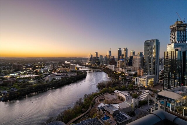 44 E Ave Unit 3203, Austin, TX 78701 - view of city skyline with a large body of water