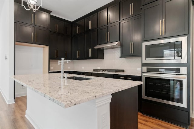 129 Du Bois Ln, Kyle, TX 78640 - kitchen with stainless steel appliances, a sink, under cabinet range hood, and light wood-style flooring