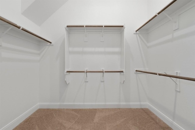 129 Du Bois Ln, Kyle, TX 78640 - spacious closet with carpet floors