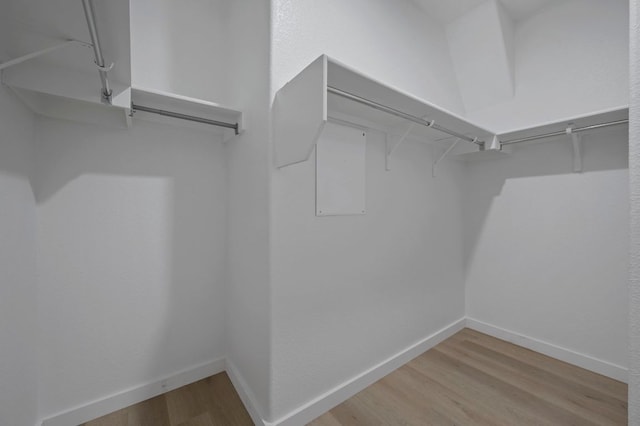 spacious closet featuring wood finished floors