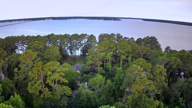 14904 Oak Shores Dr, Willis, TX 77318 - aerial overview of property's location featuring a large body of water and a heavily wooded area