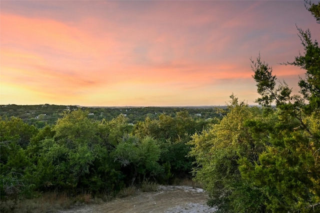 167 N Tumbleweed Trl, Austin, TX 78733 - view of local wilderness with a forest view