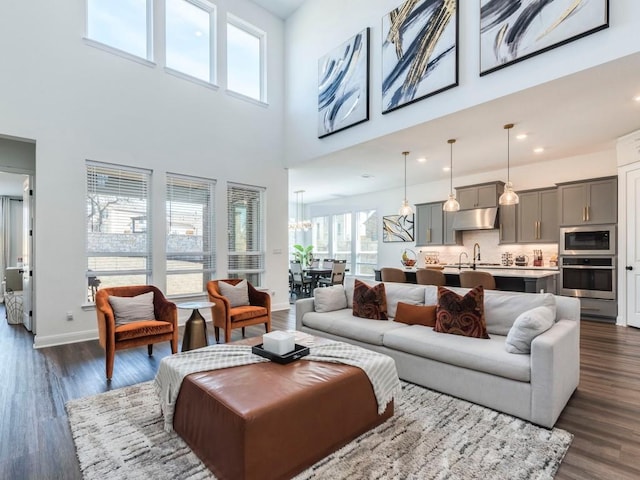 110 Pigeon River Rd, Kyle, TX 78640 - living area with healthy amount of natural light, dark wood finished floors, a high ceiling, baseboards, and recessed lighting