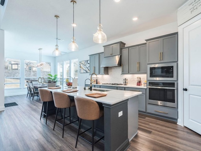 110 Pigeon River Rd, Kyle, TX 78640 - kitchen with appliances with stainless steel finishes, a sink, gray cabinetry, under cabinet range hood, and decorative backsplash