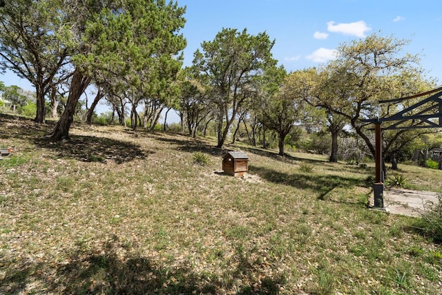 20106 Moon Dance Ln, Spicewood, TX 78669 - photo 29