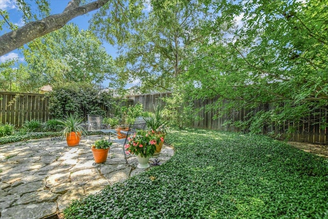 4010 Lewis Ln, Austin, TX 78756 - fenced backyard featuring a patio area
