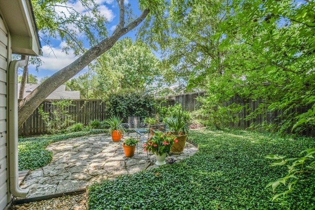 4010 Lewis Ln, Austin, TX 78756 - fenced backyard featuring a patio area