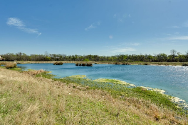 837 Watson Way, Pflugerville, TX 78660 - water view