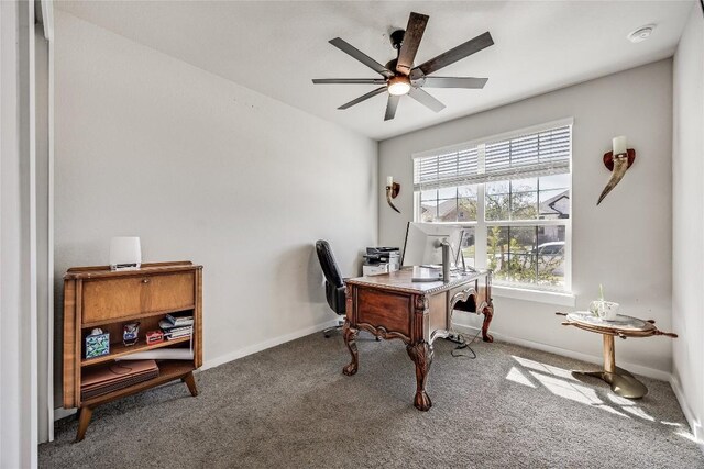 329 Peace Pipe Way, Georgetown, TX 78628 - carpeted home office featuring a ceiling fan and baseboards