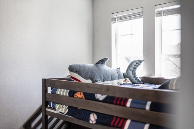 329 Peace Pipe Way, Georgetown, TX 78628 - view of bedroom