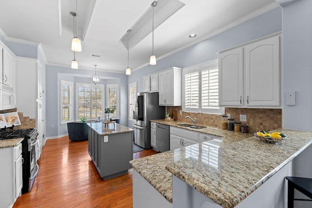 100 Blacksmiths Cir, Georgetown, TX 78633 - kitchen with appliances with stainless steel finishes, a center island, wood finished floors, a peninsula, and backsplash