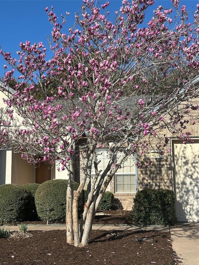 100 Blacksmiths Cir, Georgetown, TX 78633 - view of side of home