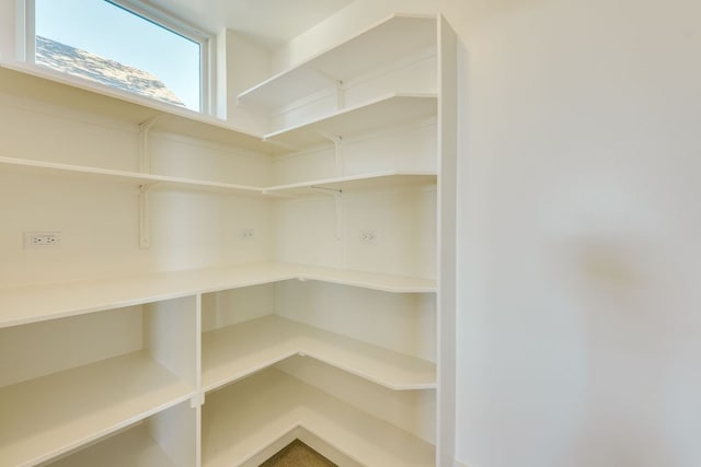 3014 Brass Buttons Trl, Austin, TX 78734 - view of storage area