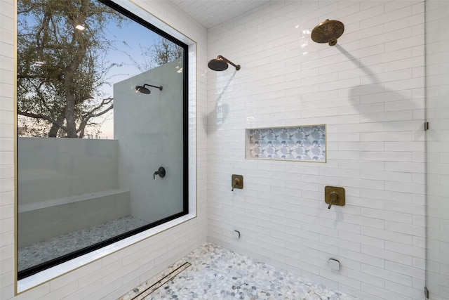 5805 Twin Peaks Trce, Austin, TX 78738 - full bath with tiled shower